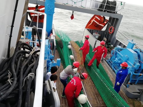 黃海水產(chǎn)研究所 北斗 號調(diào)查船 中漁科102 號調(diào)查船圓滿完成任務(wù)返航